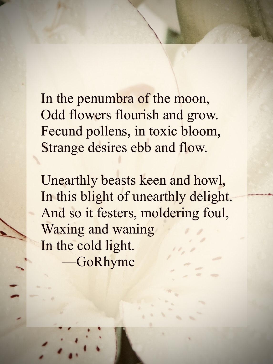 Poetry by Kelly Gray